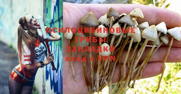 ешки Заволжье