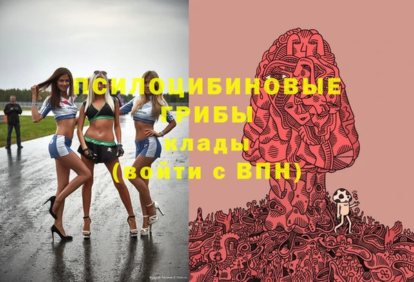 PSILOCYBIN Тында