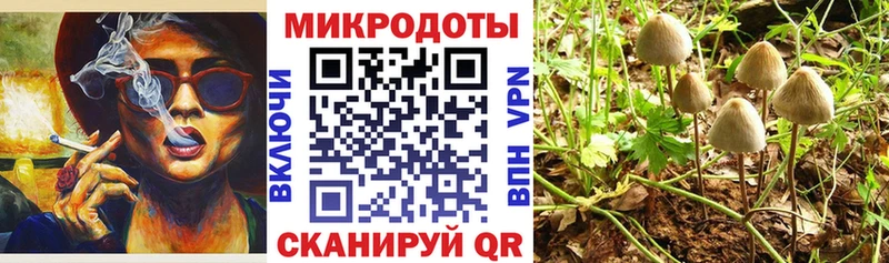 Псилоцибиновые грибы мухоморы  Купить закладки  Рузаевка 